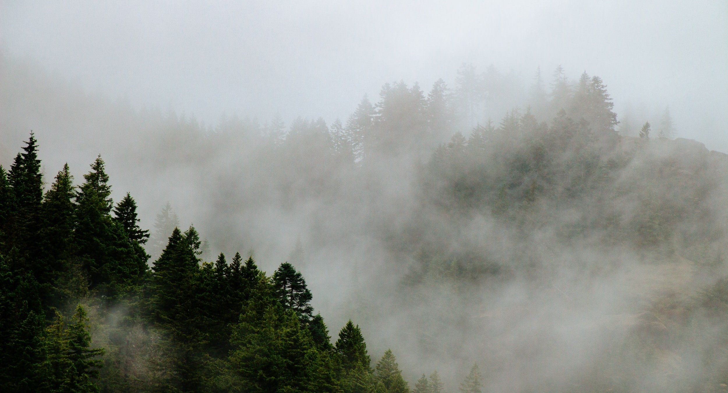 silver stimulates cloud condensation